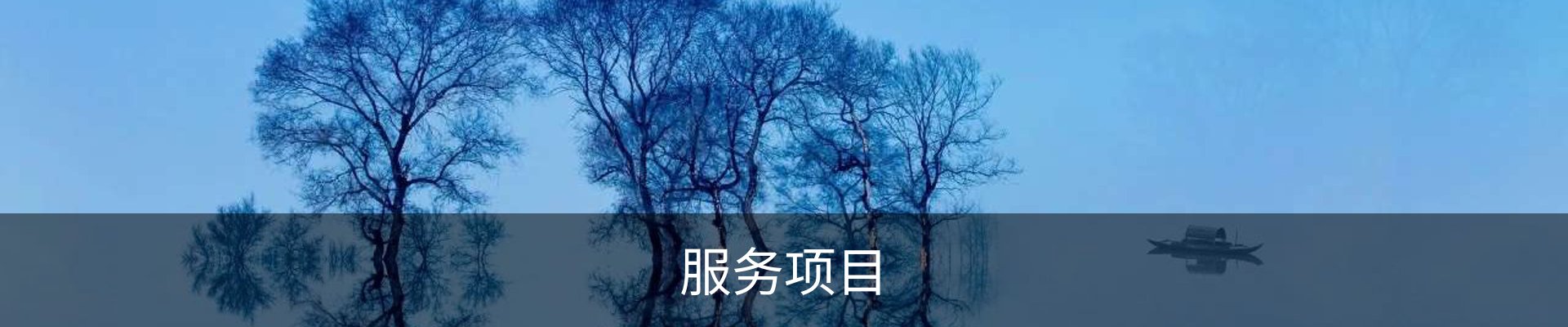 服务项目